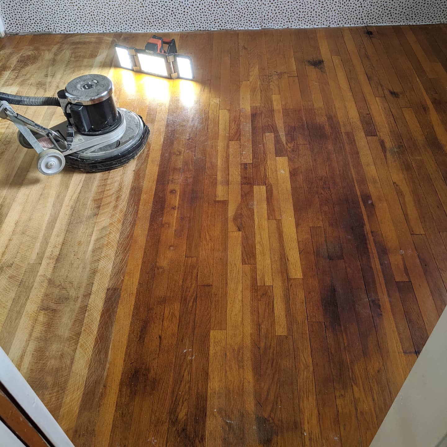 Diamabrush sander sanding wood floor